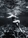 Ninon MACHE - Mache