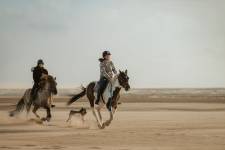 Guillaume CLAMAGIRAND - CG PHOTOGRAPHIE