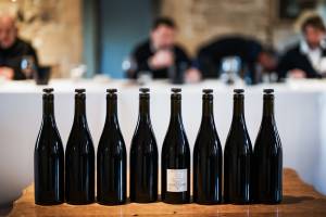 Jean-Baptiste PETER - JIB PETER PHOTOGRAPHE