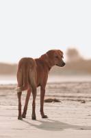 Elisa MARCATO - EA.FLASH