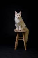 Fanny LONGELIN - FANNY LONGELIN PHOTOGRAPHE