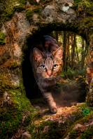 Fanny LONGELIN - FANNY LONGELIN PHOTOGRAPHE